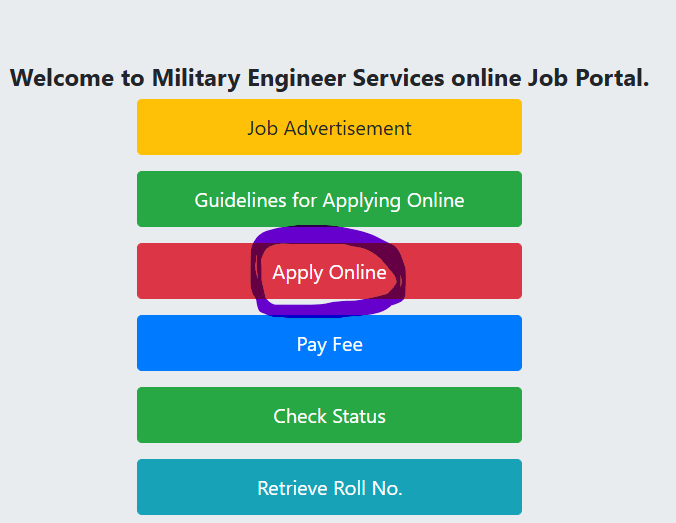 💻 How to Apply Online (Step-by-Step Portal Guide)