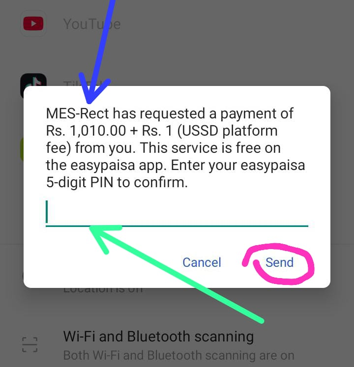 Step 5: Authorize the Payment on Your Phone